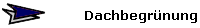 Dachbegrnung