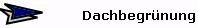 Dachbegrnung